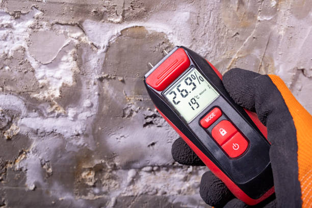 Home Mold Removal in Jasper, TN