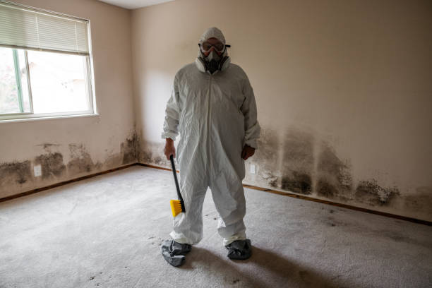 Office Mold Removal Services in Jasper, TN